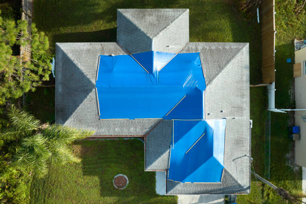 Best Asphalt Shingle Roofing  in Erwin, TN