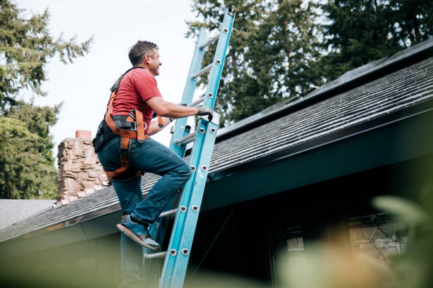 Best Green or Eco-Friendly Roofing Solutions  in Erwin, TN