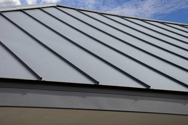 Best Flat Roofing  in Erwin, TN